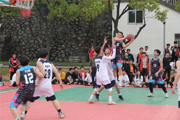 常德德才科技职业学校,常德招生就业,电子商务专业学校,专业学校报考哪里好