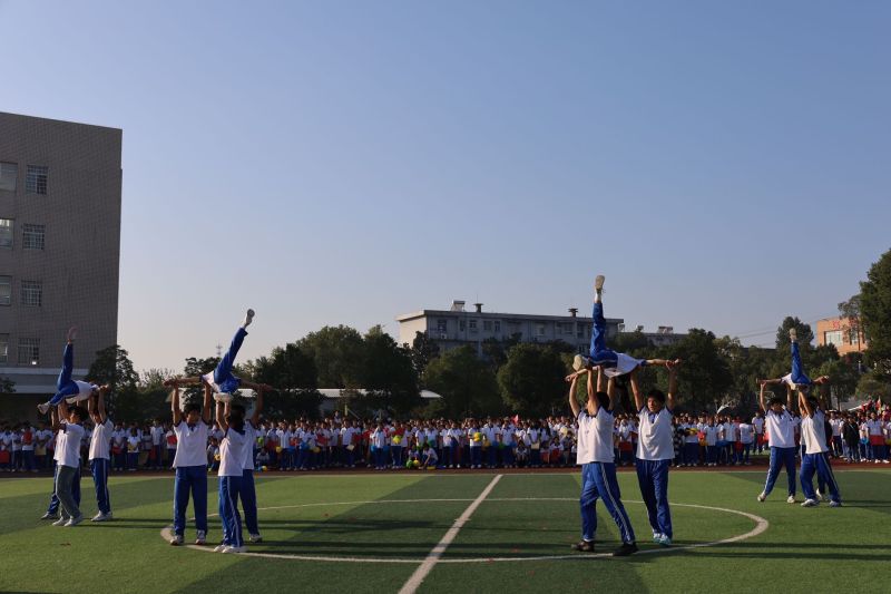 常德德才科技职业学校,常德招生就业,电子商务专业学校,专业学校报考哪里好